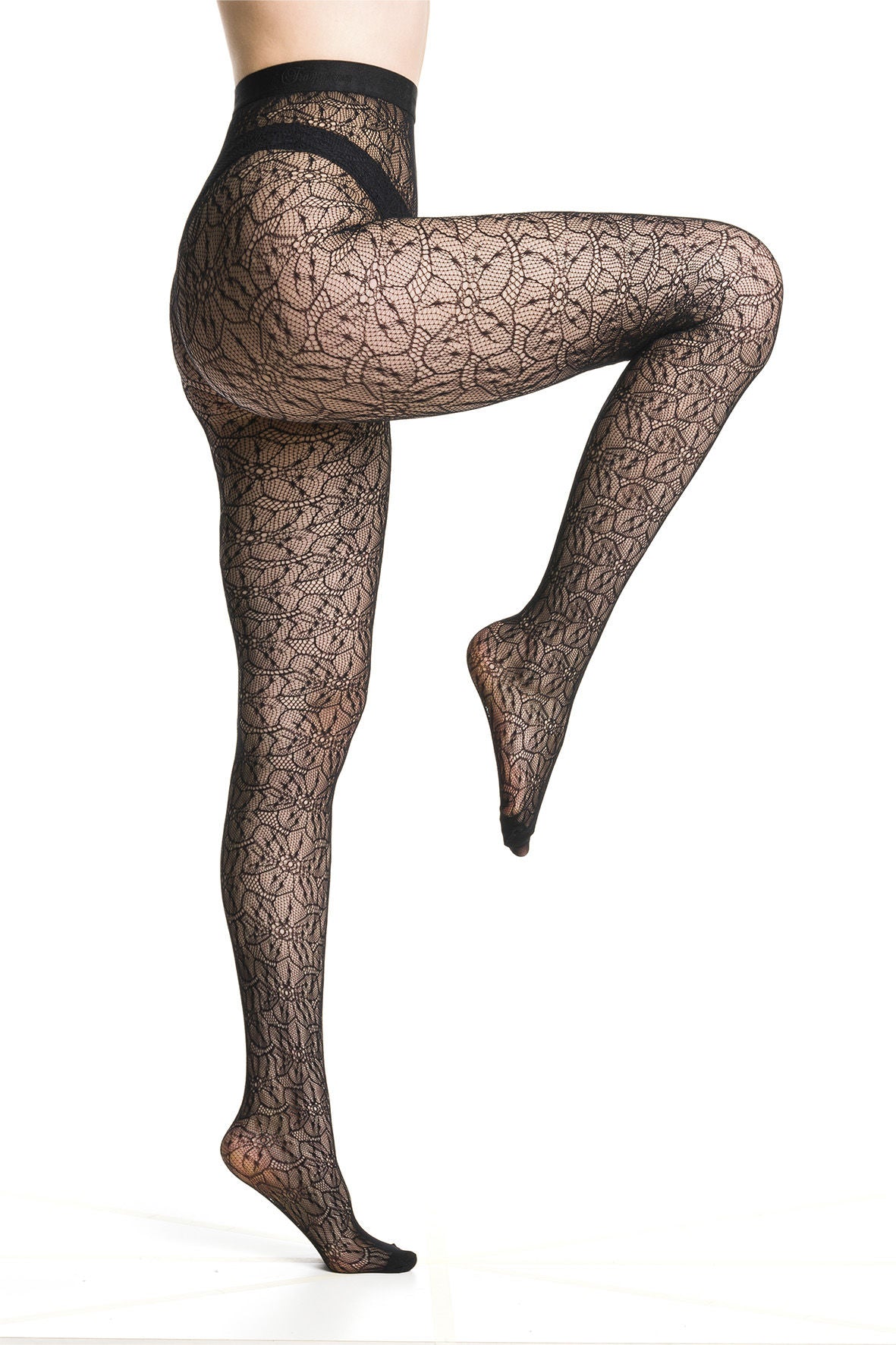 Trasparenze Compass Rose Lace Tights
