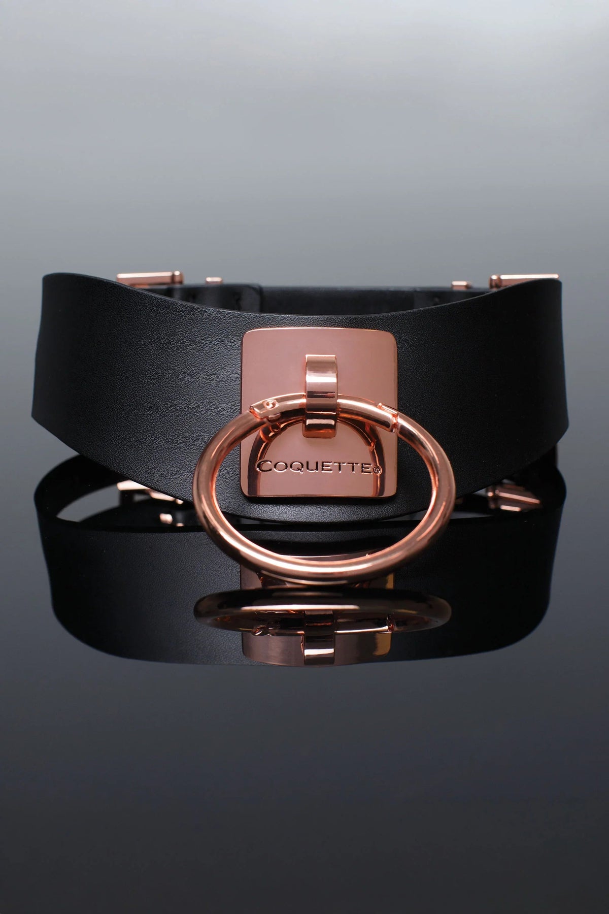 Vegan Leather Collar